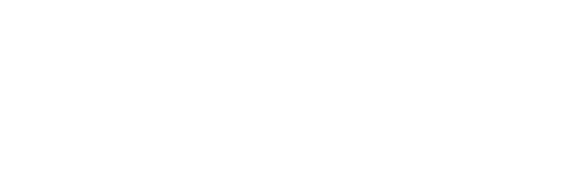 nowa_logo